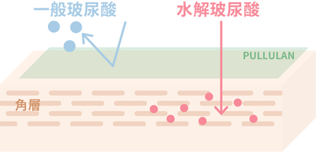 解説図